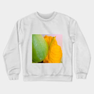 Pumpkin Blossom & Fruit Crewneck Sweatshirt